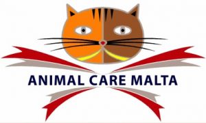 Animal Care Kattenopvang Malta