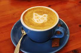 The Coffee Cat