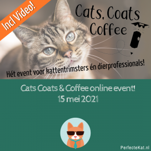 Cats Coats & Coffee