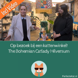 The bohemian catlady interview