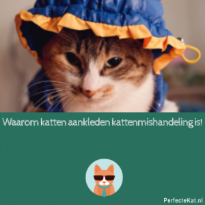 leiderschap Stier Atticus Waarom katten aankleden dierenmishandeling is! - Perfectekat.nl