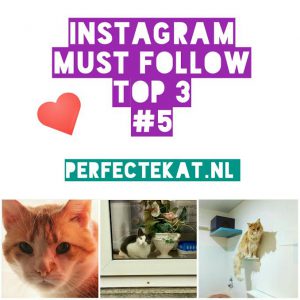 Cat Instagram part 5