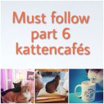 Cat Instagram part 6