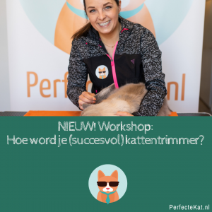 NIEUW! Online workshop: Hoe word je kattentrimmer?