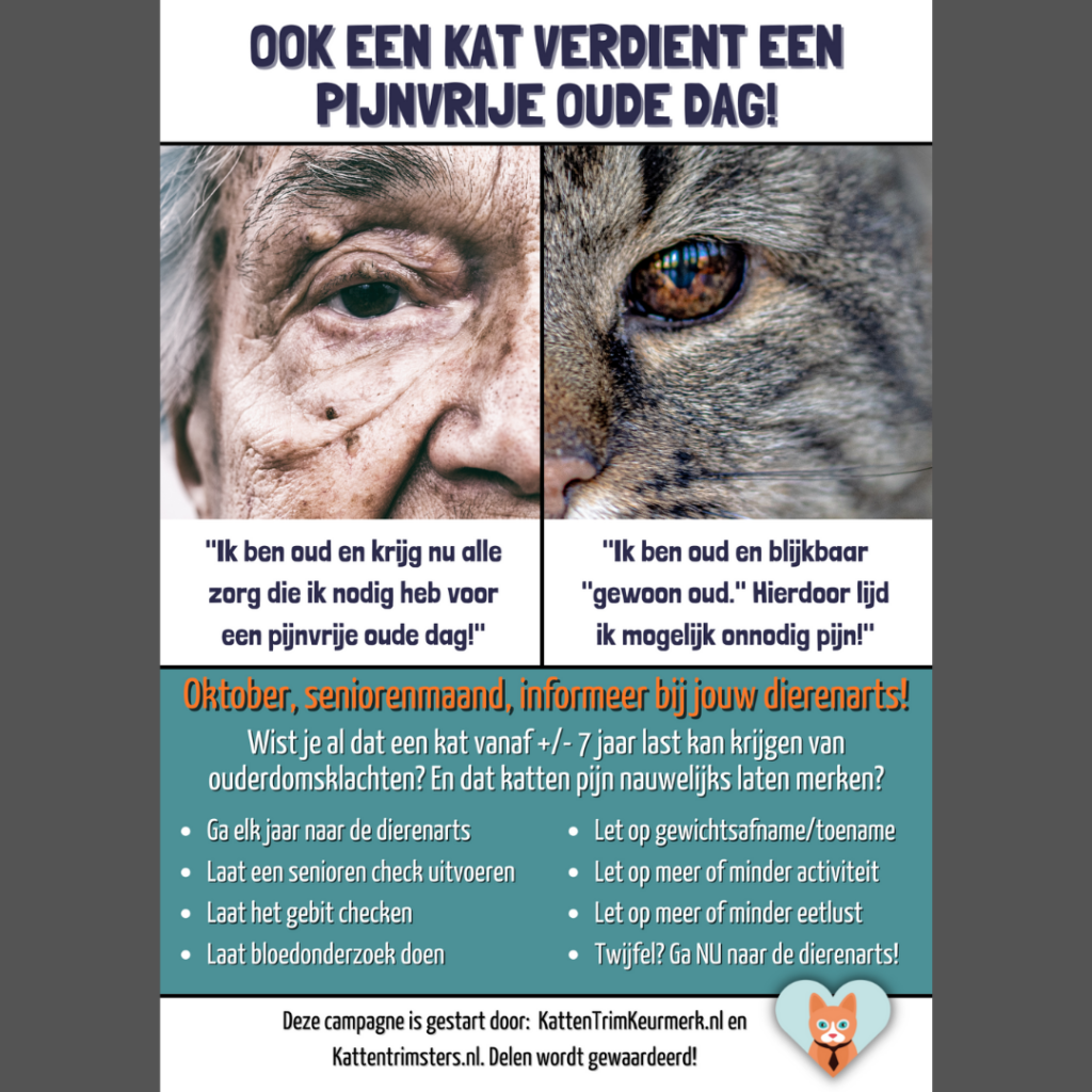 Campagne oudere kat