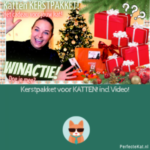 Katten Kerstpakket! Het cadeau voor jouw kat! + Winactie en video!